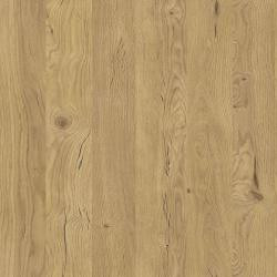 PAL KASTAMONU STEJAR BRISTOL