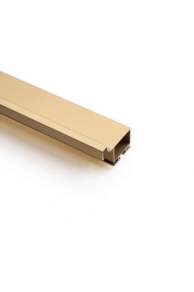 PROFIL GOLA VERTICAL 3M TIP L AURIU MAT