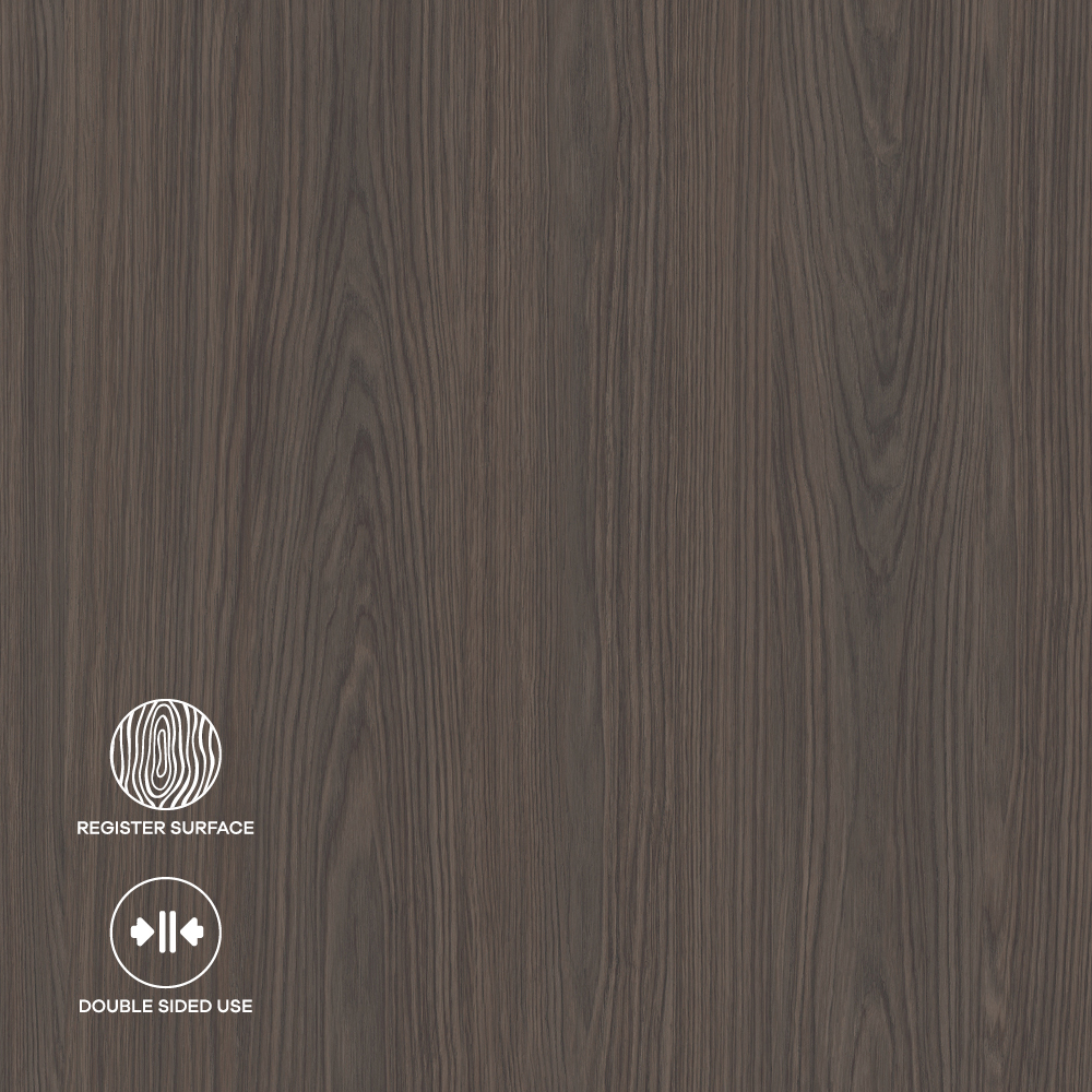 PAL KASTAMONU REMBRANDT