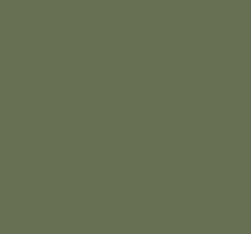 [AGT-3097] PANOU MDF 18X1220X2800 - SUPRAMAT OLIVE GREEN 2-FETE AGT