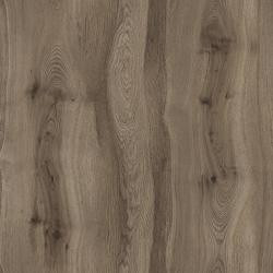 [A674PS37] PAL KASTAMONU STEJAR MAJESTIC